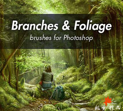 高清晰森林、飞鸟PS笔刷集