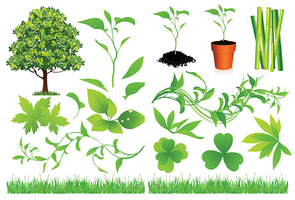   绿色植物系列矢量素材  