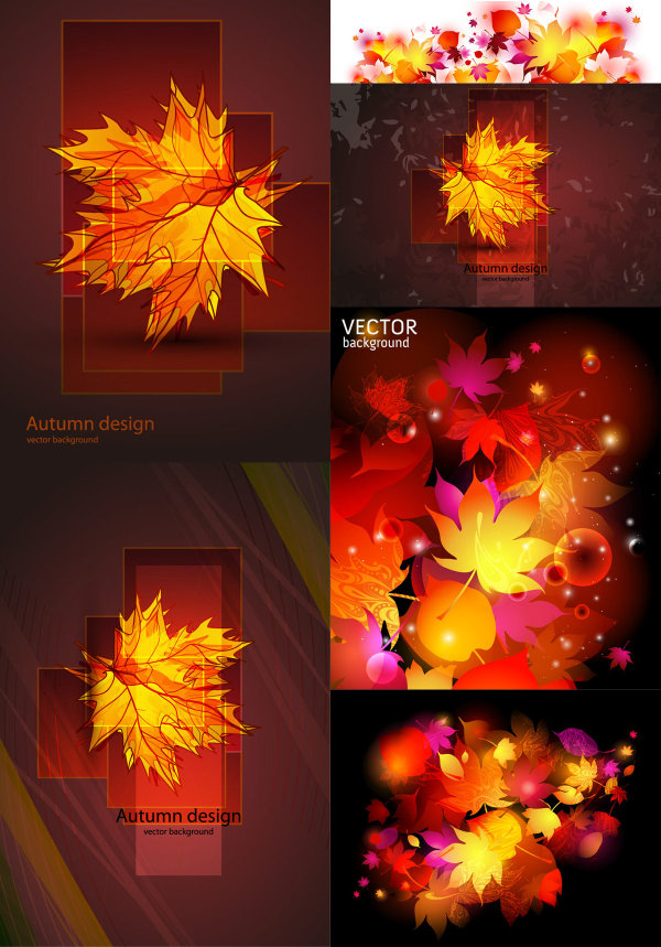 绚丽的枫叶&mdash;&mdash;矢量素材