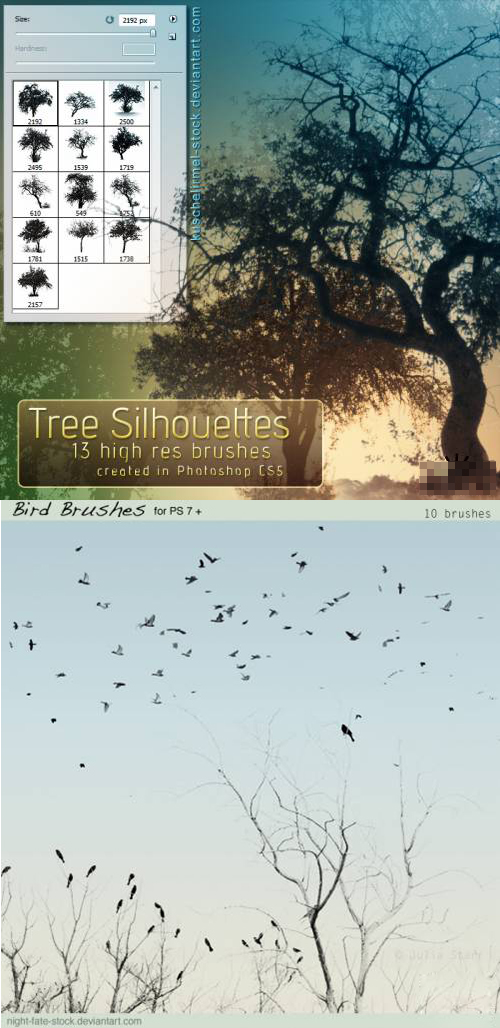 高清晰大树 飞鸟PS笔刷