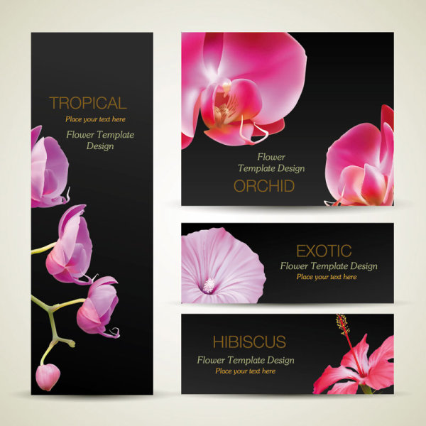 Beautiful flowers banner 03 - vector material