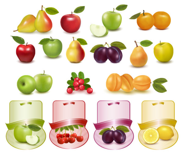 Fruit Picture 01 - vector material