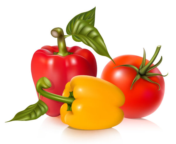 Vegetables Picture 03 - vector material
