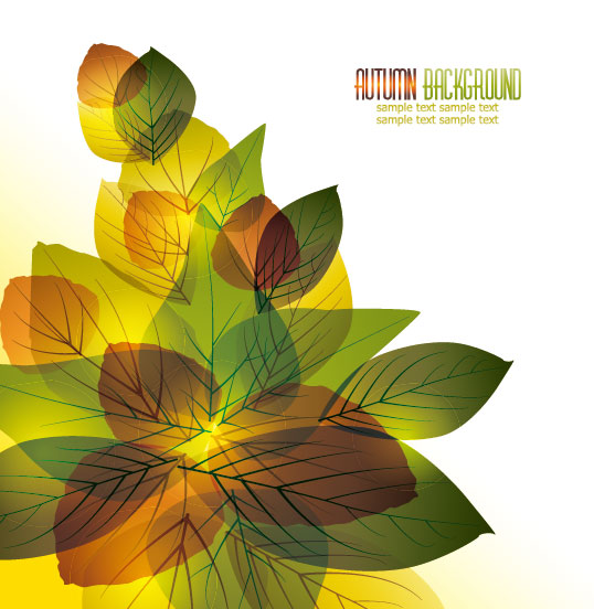 Fine leaf card 03 - vector material