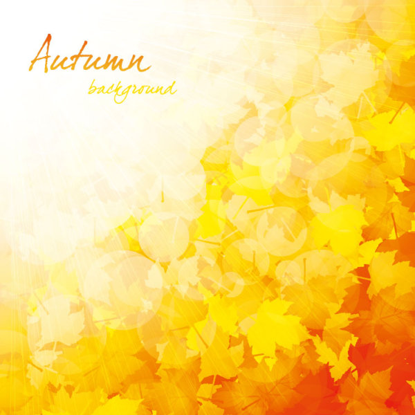 Beautiful autumn background 03 - vector material