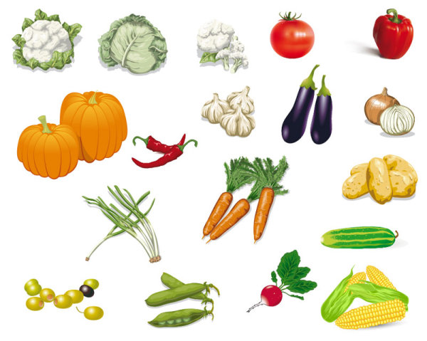 Vegetables image 02 - vector material