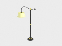 Chinese retro floor lamp