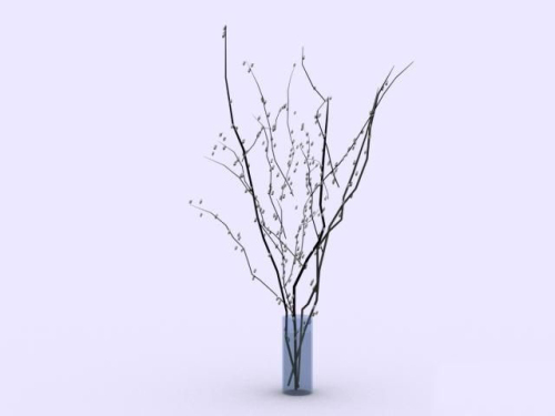 Interior Plant Model