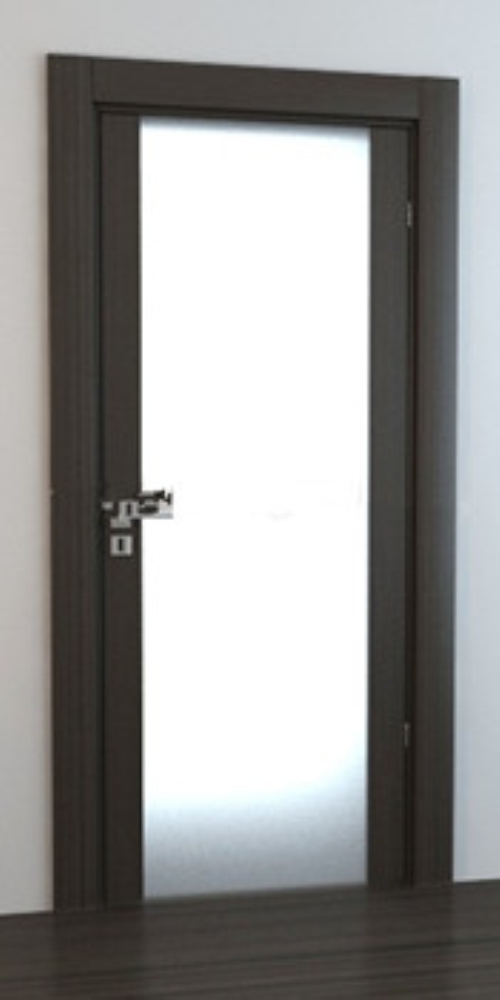 Transparent door models