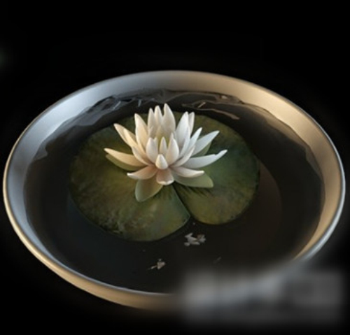 Potted flowers 3d model