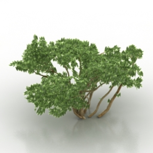 green shrub 3D models