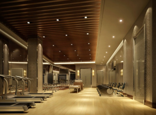 Luxurious indoor gymnasium in 3D