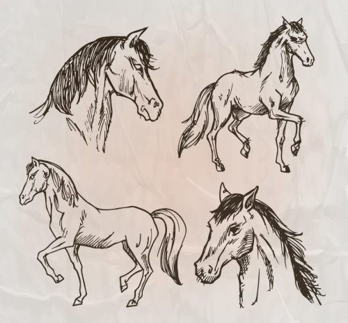 4 hand-painted horse design vector material