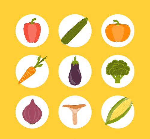 6 circular common vegetables icon vector material