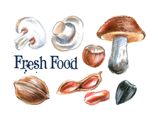 8 painted mushrooms and nuts vector material