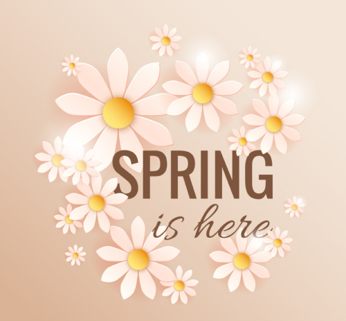 Spring white chrysanthemum vector material